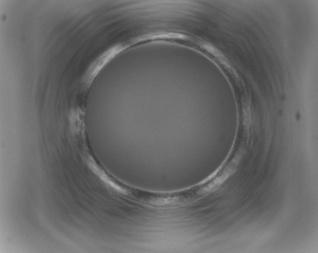X0000080771369200612151424