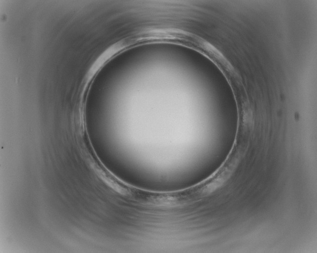 X0000080771370200612151424