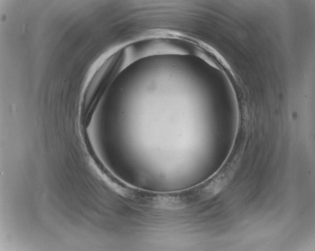 X0000080771379200612151424