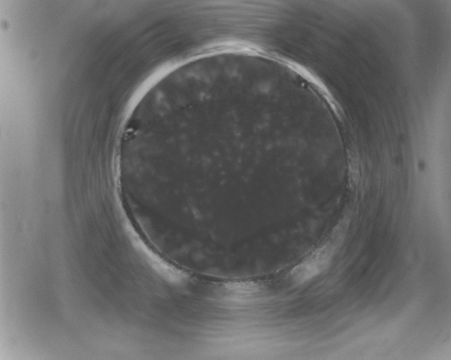 X0000080771383200612151424