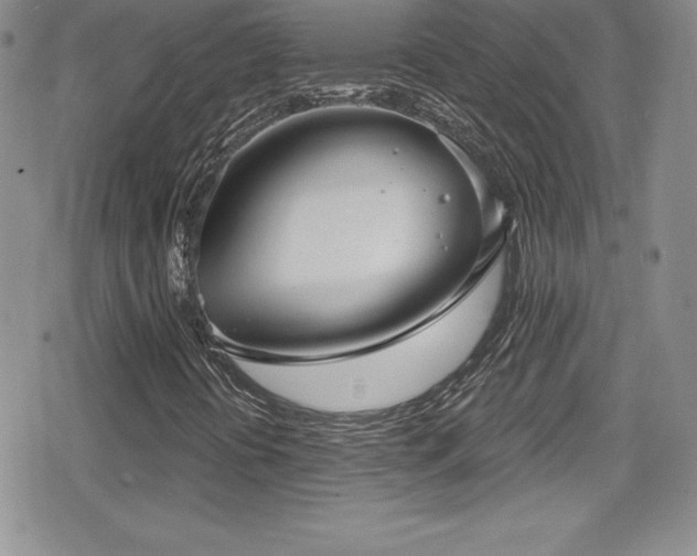 X0000080771394200612151423