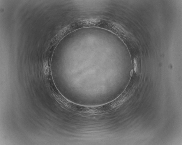 X0000080771395200612151423