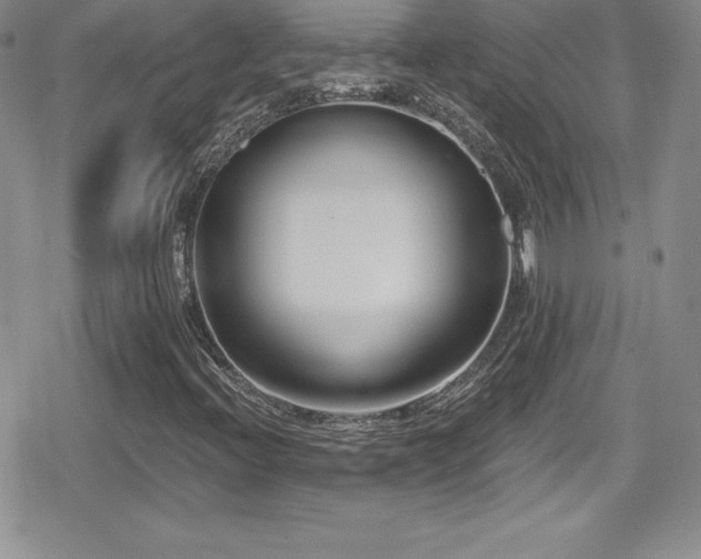 X0000080771396200612151423
