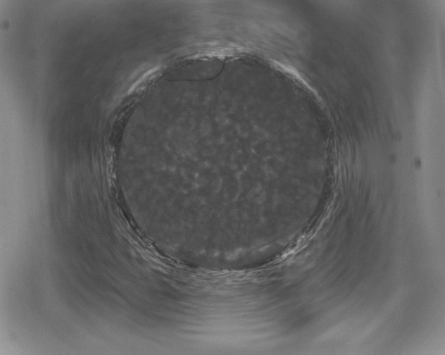 X0000080771399200612151423
