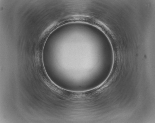 X0000080771403200612151423