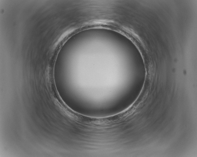 X0000080771404200612151423