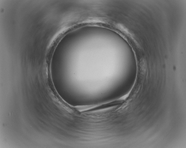 X0000080771408200612151423