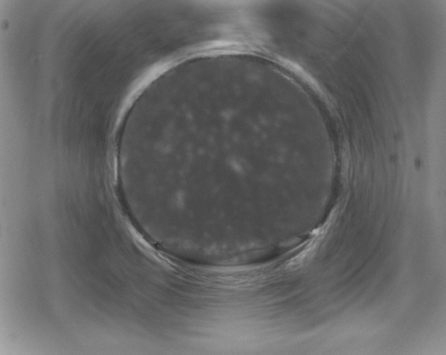 X0000080771413200612151423