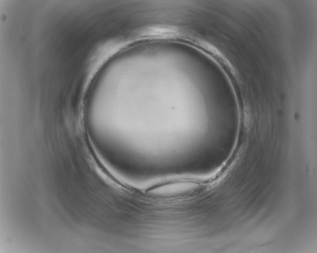 X0000080771421200612151423