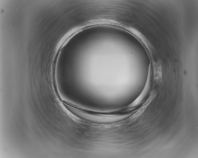 X0000080771438200612151423