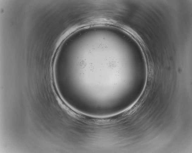 X0000080771439200612151423