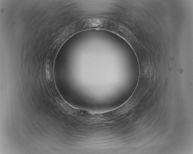 X0000080771442200612151423