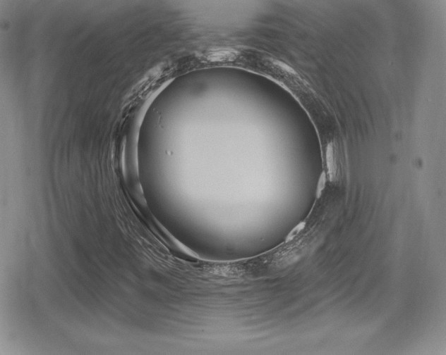 X0000080771443200612151423