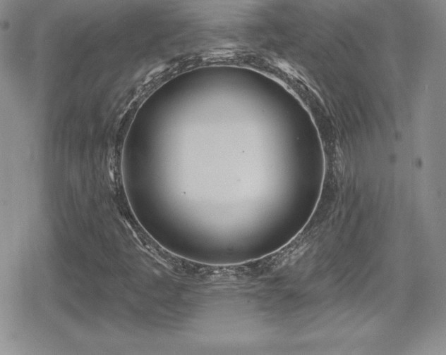 X0000080771445200612151423