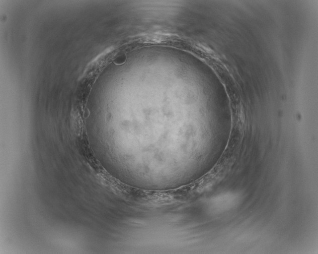 X0000080771446200612151423