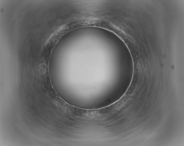 X0000080771447200612151423