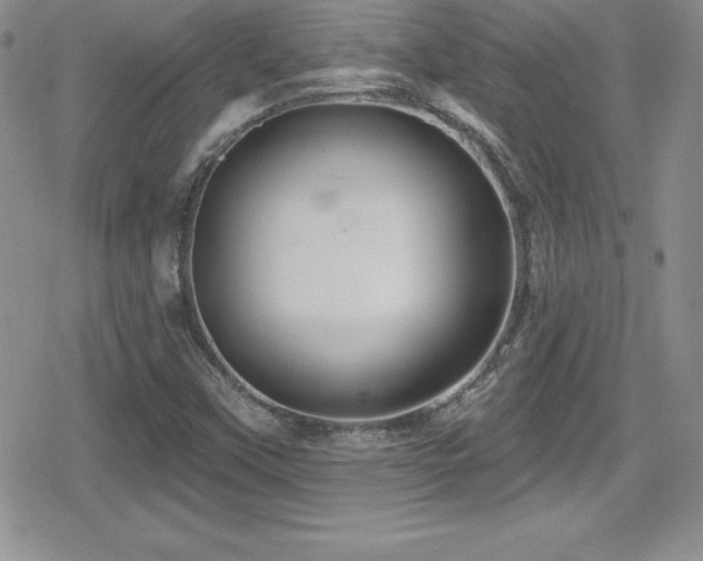 X0000080771451200612151422