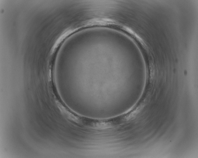 X0000080771459200612151422