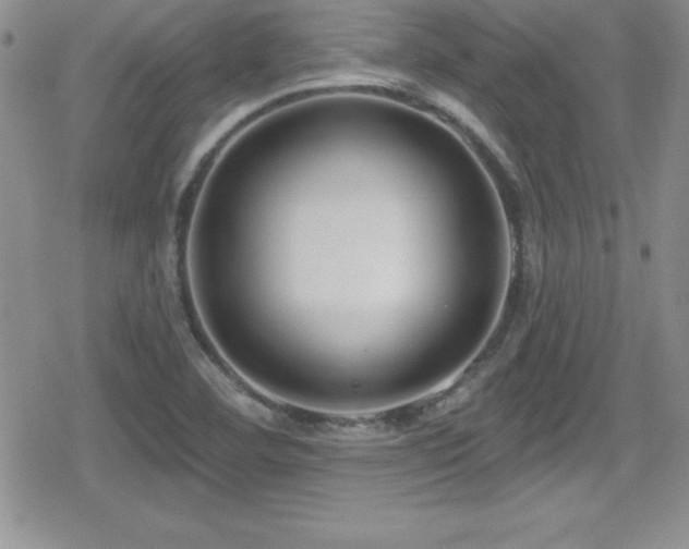 X0000080771460200612151422