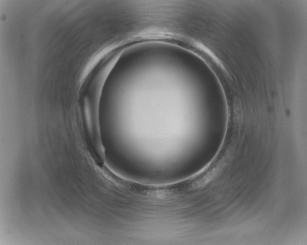 X0000080771461200612151422