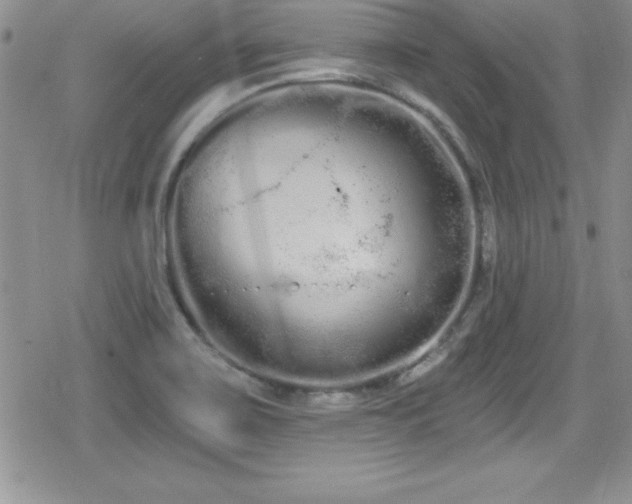 X0000080771467200612151422