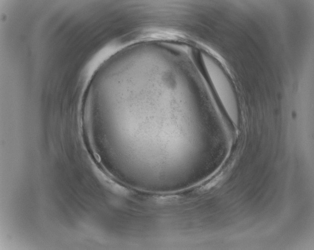 X0000080771471200612151422