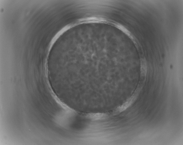 X0000080771474200612151422