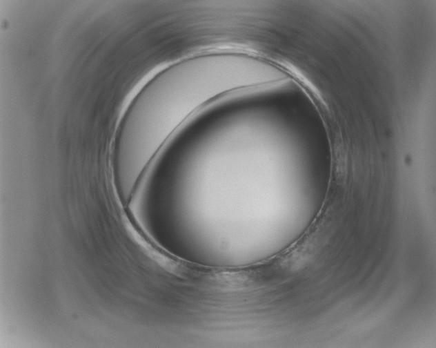 X0000080771476200612151422