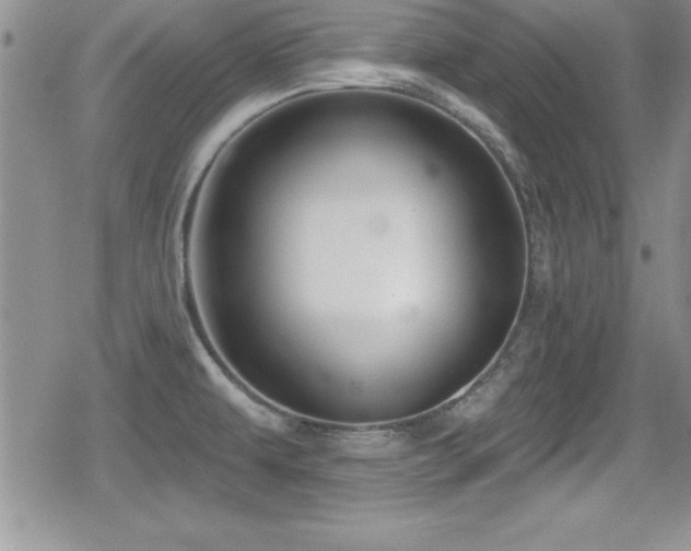 X0000080771479200612151422