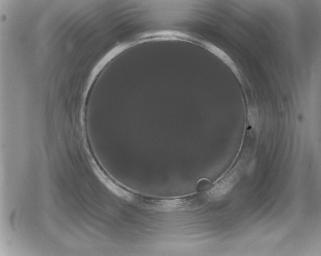 X0000080771482200612151422