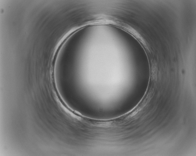 X0000080771484200612151422