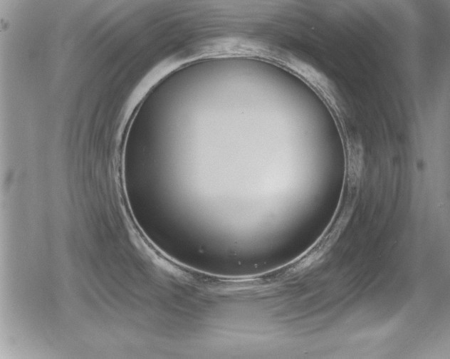 X0000080771486200612151422