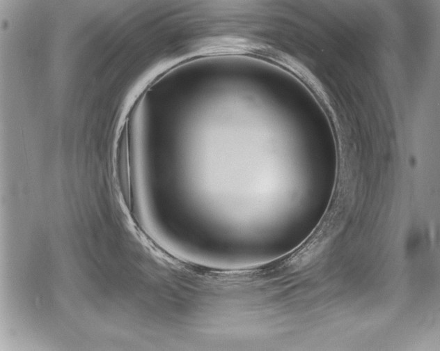 X0000080771488200612151422
