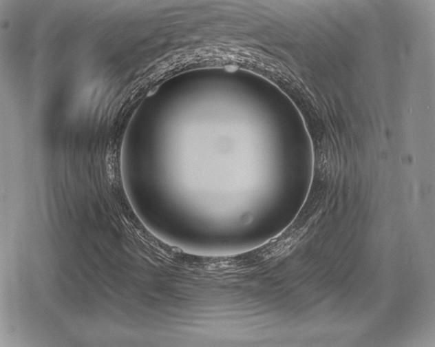 X0000080771490200612151421