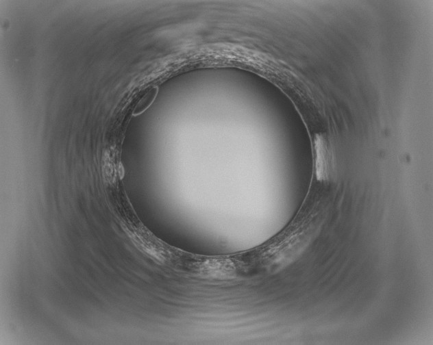 X0000080771491200612151421