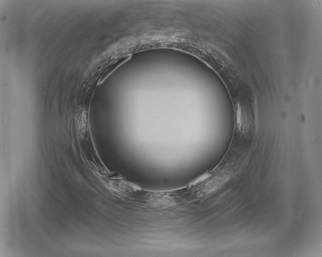 X0000080771492200612151421
