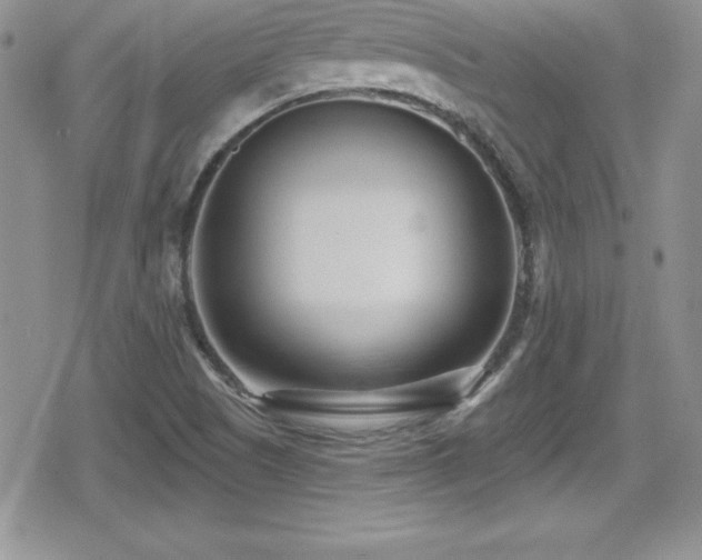X0000080771505200612151421