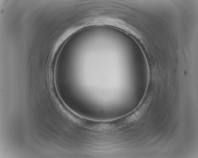 X0000080771517200612151422