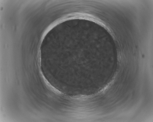 X0000080771522200612151422