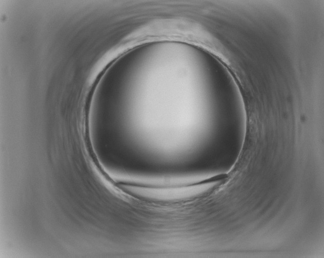 X0000080771523200612151422