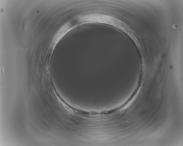 X0000080771529200612151422
