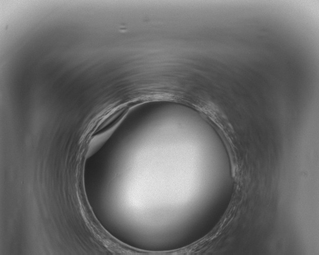 X0000080770001200612221448