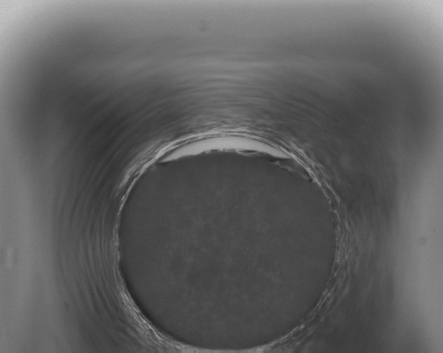 X0000080770002200612221448