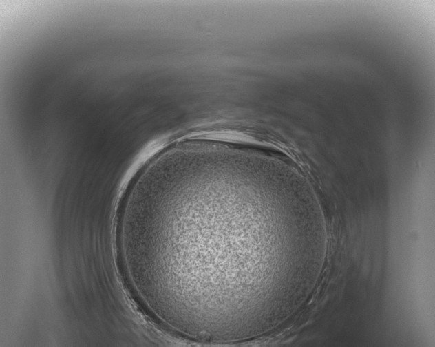 X0000080770006200612221448