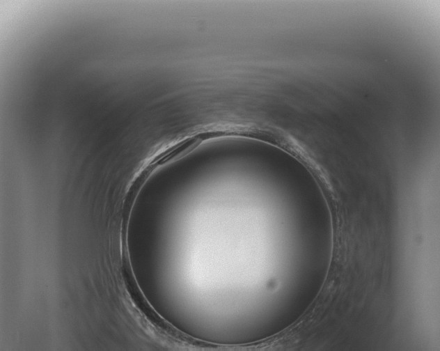 X0000080770011200612221448