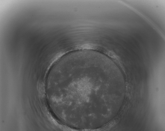 X0000080770012200612221448