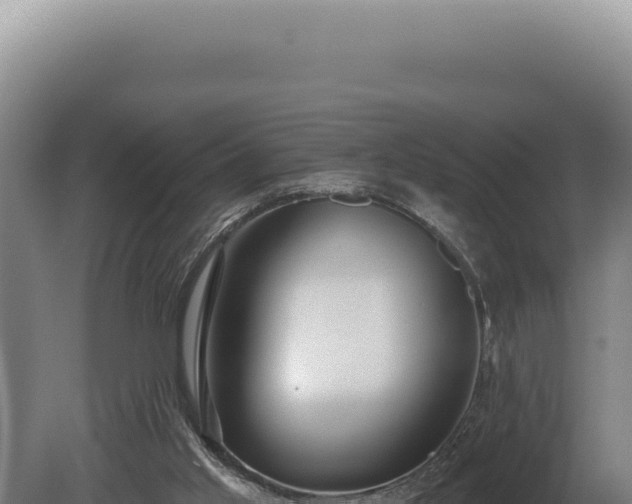 X0000080770013200612221448