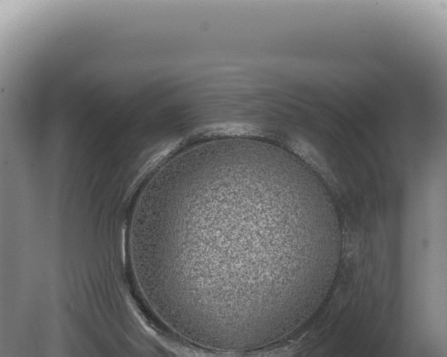 X0000080770014200612221448