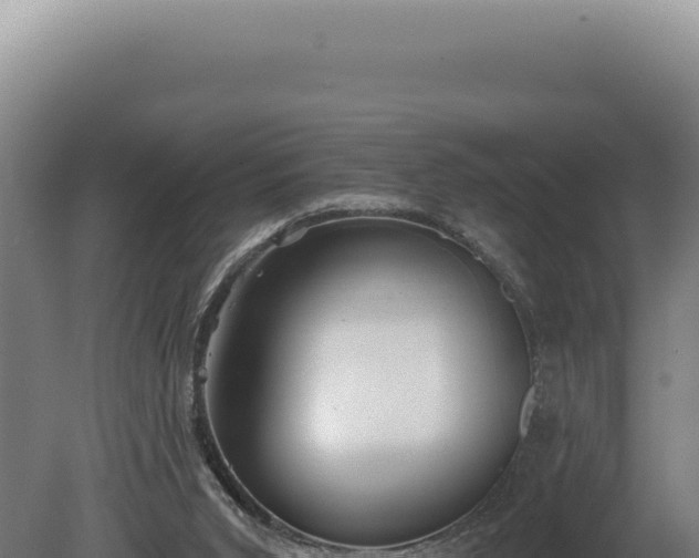 X0000080770015200612221448