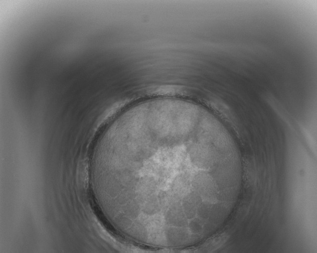 X0000080770016200612221448